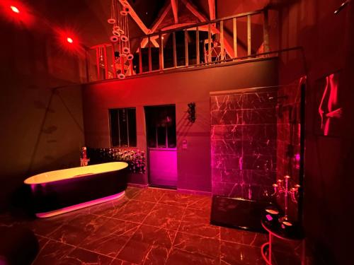 Une love room romantique avec jacuzzi pour couple à Douchy-les-MinesNord