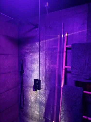 Une love room romantique avec jacuzzi pour couple à WattigniesNord
