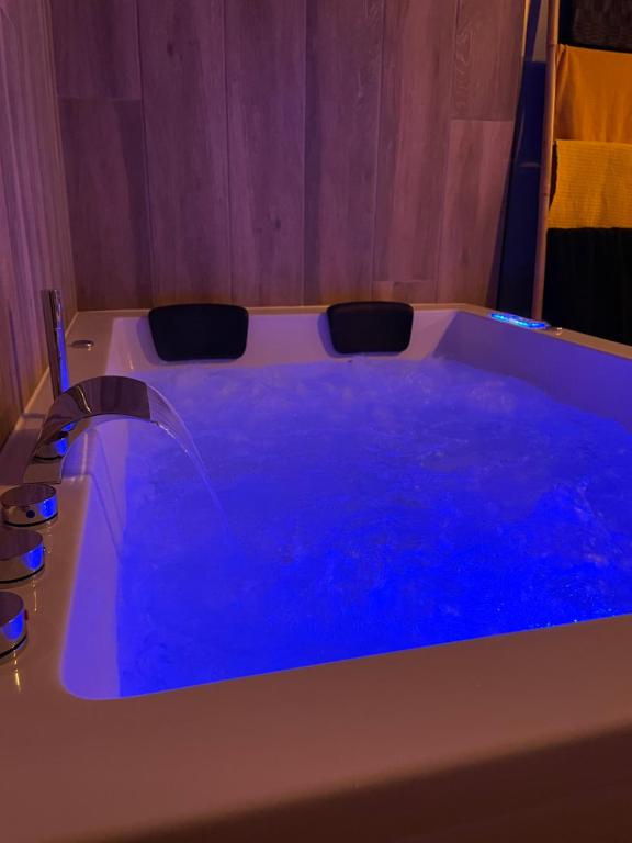 Studio jacuzzi Love Room