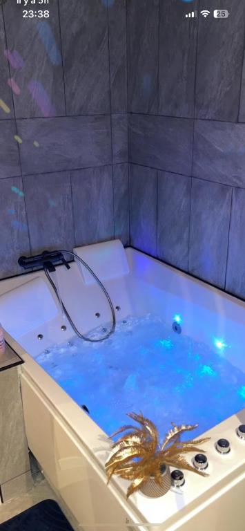 Trinidad Suite Jacuzzi — love room à Aubagne