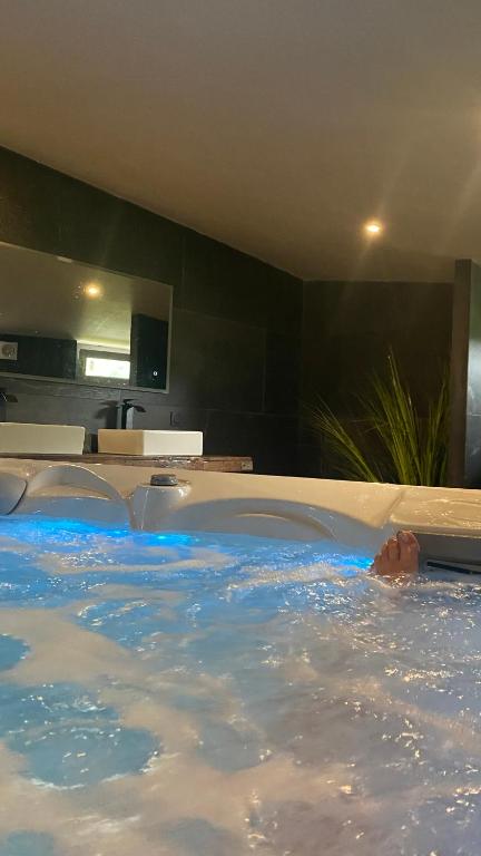 Les murmures de l&rsquo;eau, chambre d&rsquo;hôtes avec jacuzzi