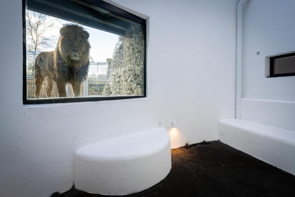 Travel Proud Night experience – Lodge By Zoo Bordeaux Pessac — love room à Pessac
