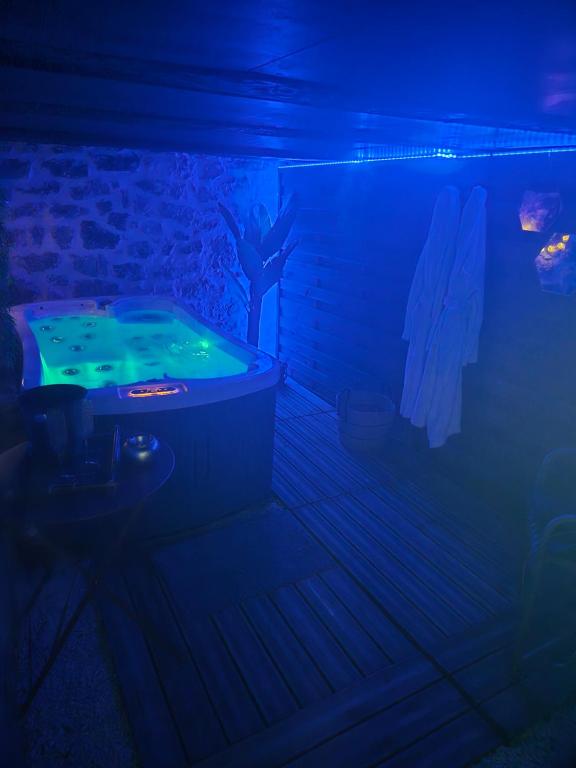 Appartement Avec Sauna et Spa Privé