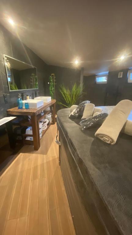 Les murmures de l&rsquo;eau, chambre d&rsquo;hôtes avec jacuzzi — love room à Lannion