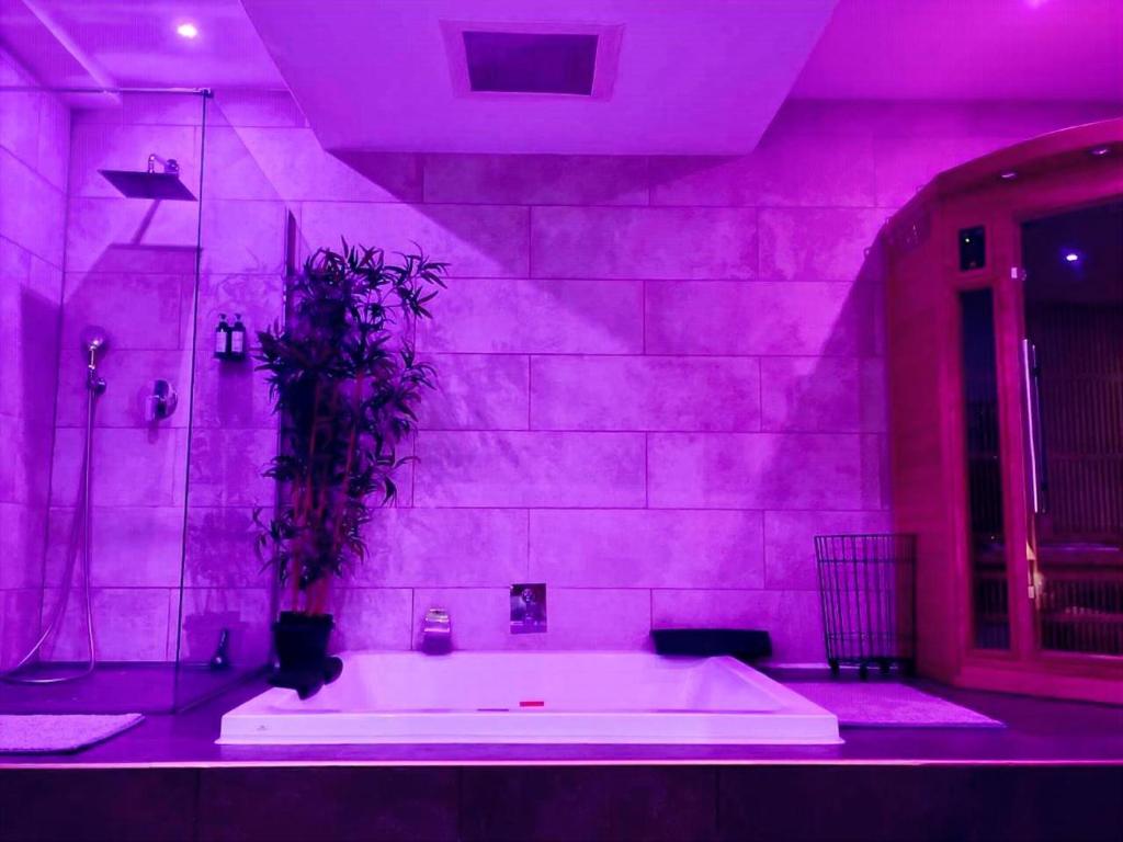 Travel Proud LOFT & SPA PRIVATIF — love room à Dijon