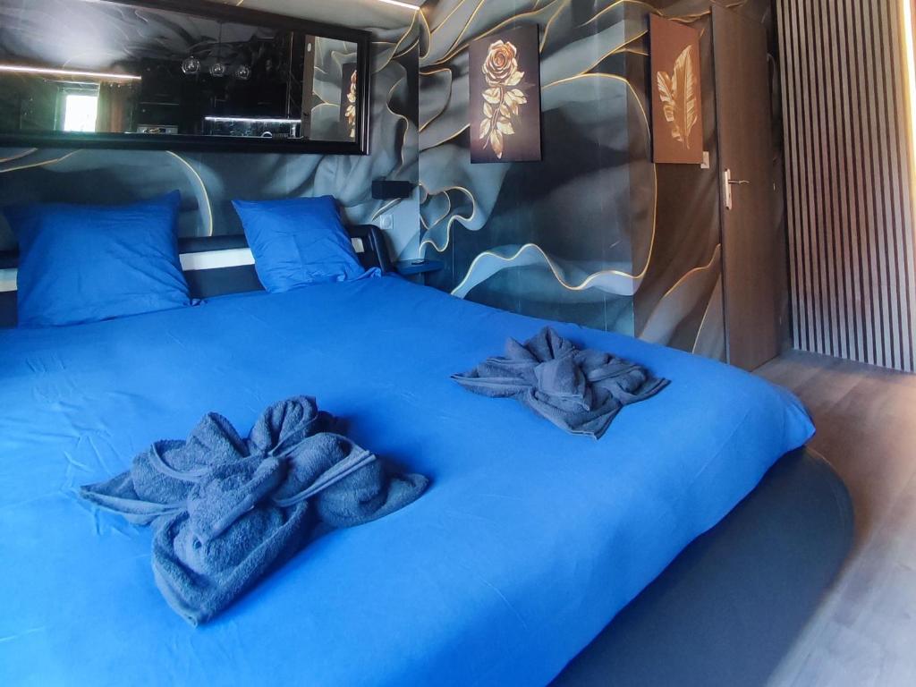 R luxury piscine et spa privatifs — love room à Colmar