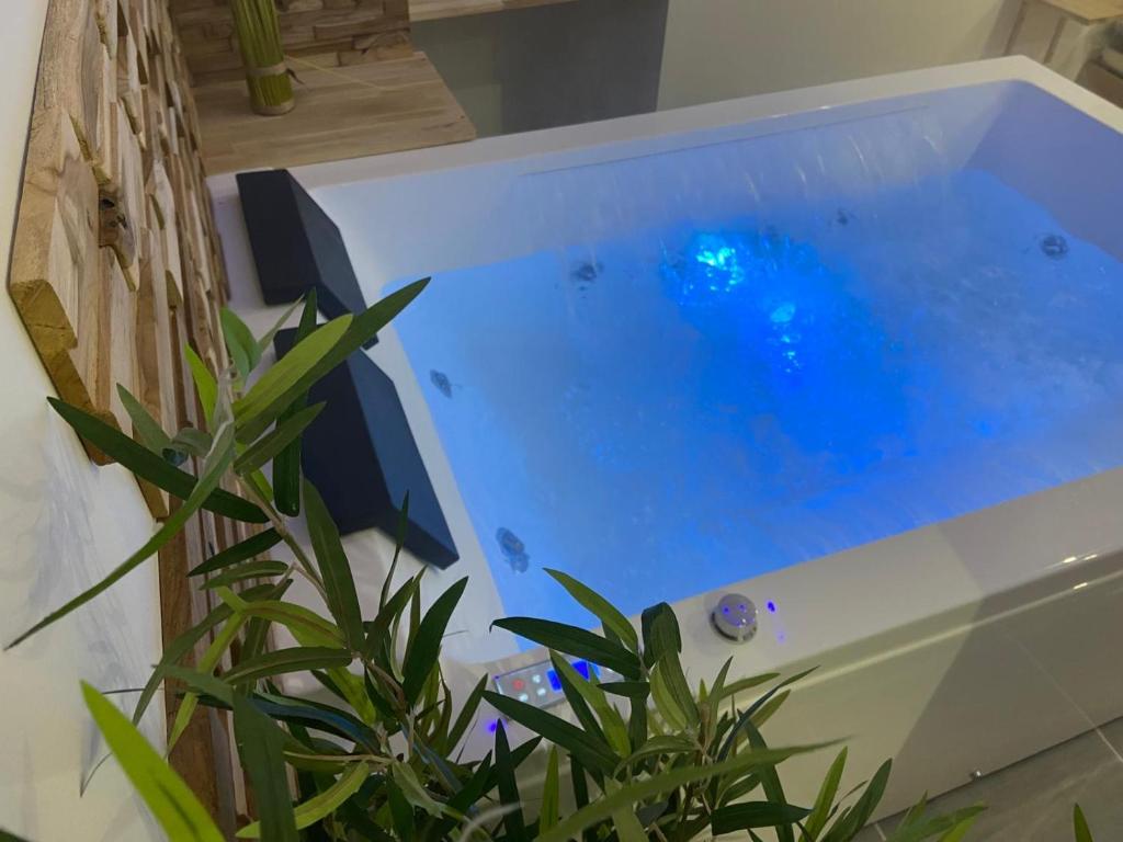 Nuit Magique en Love Room avec Jacuzzi Privé — love room à Vierzon