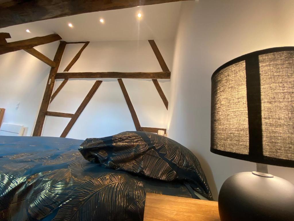 Appartement romantique avec Jacuzzi en plein centre ville — love room à Bourges
