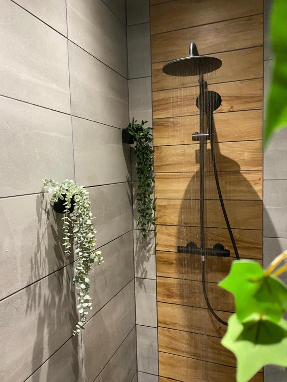 Sweet love exotique by Locations_lepuyenvelay — love room à Brives-Charensac