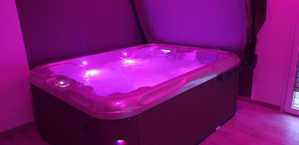 Paradis Secret Spa — love room à Damprichard