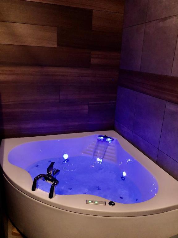 Studio cocooning Spa, lit XXL, cour extérieure — love room à Le Puy-en-Velay