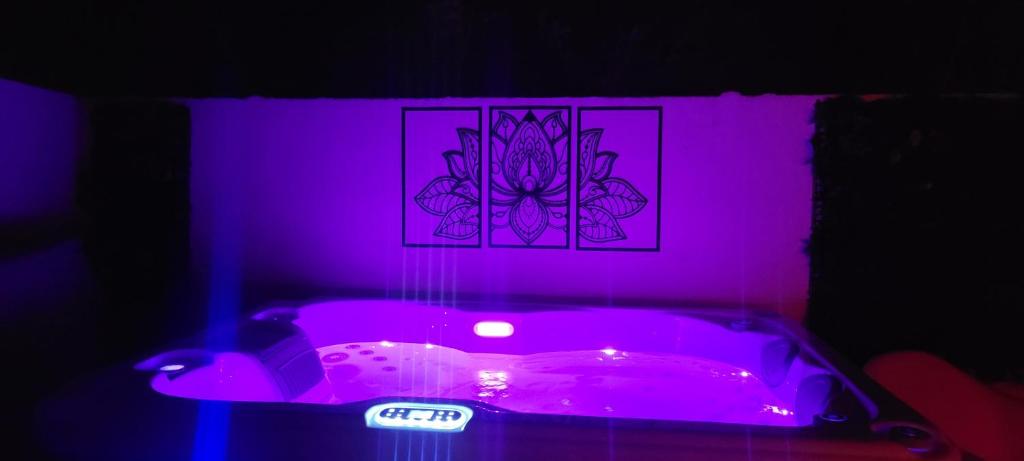 Le Chalet romantique avec jacuzzi privatif — love room à Lirac
