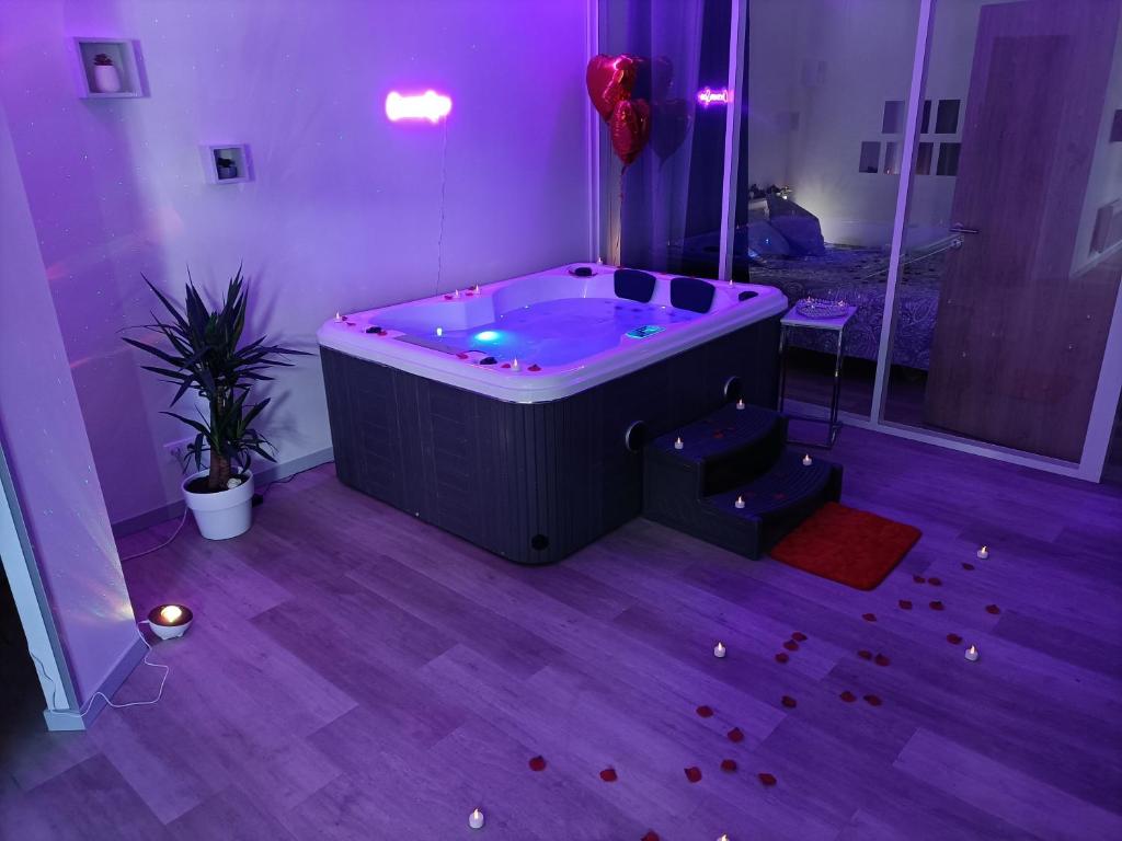 CocoonSPA LoveRoom Jacuzzi — love room à Toulouse