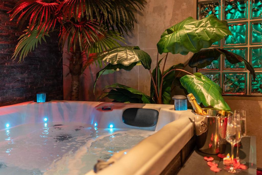L’Insolite, Spa Privatif (Appartement Jacuzzi) — love room à Toulouse