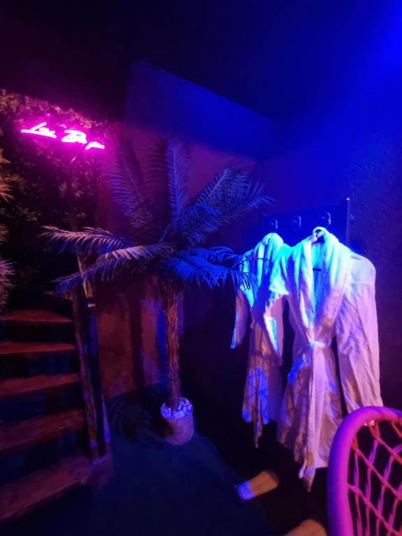 La Bayeuzen – La Tropicale – Love Room