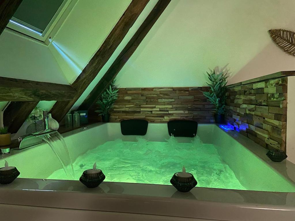 Appartement romantique avec Jacuzzi en plein centre ville — love room à Bourges