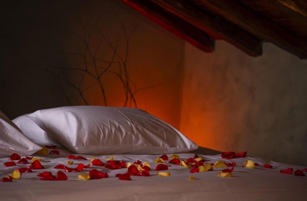 Superbe appartement loveroom avec balnéo Dolce notte — love room à Carbonne