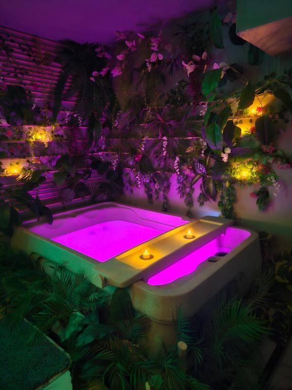 Love room Villa Oasis – Appartements à thèmes à Lamalou-les-Bains
