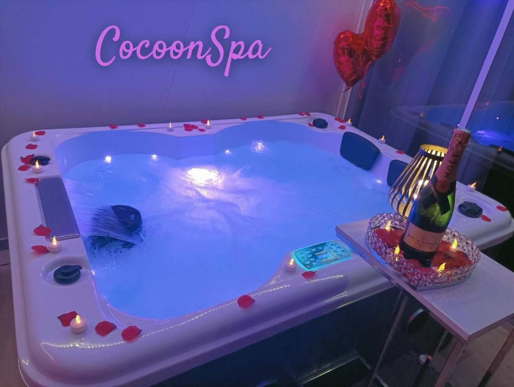 CocoonSPA LoveRoom Jacuzzi — love room à Toulouse